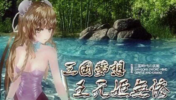 三国梦想：王元姫無惨 官方中文版 同人ARPG游戏 补 3.8G-七宝社