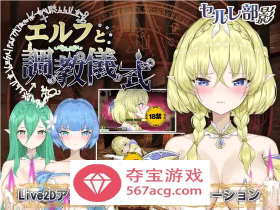 【调教互动SLG全动态】精灵的调教儀式 DL官方正式完整版+存档【新作2.2G】-七宝社