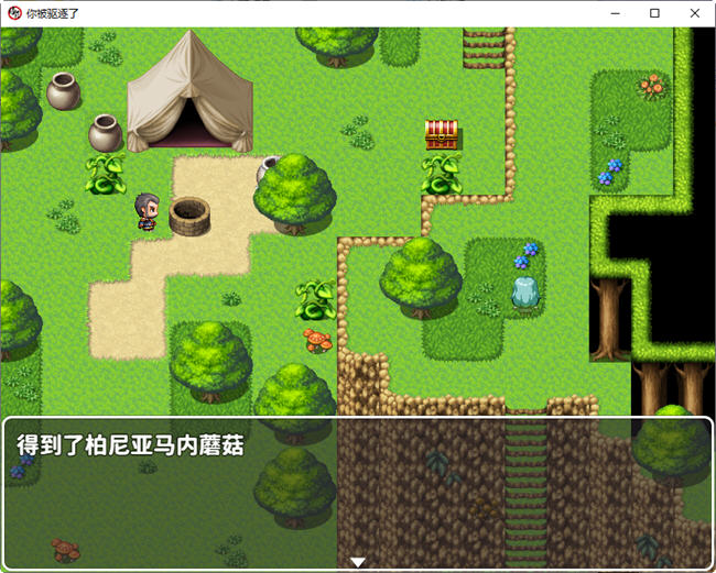 图片[2]-你被驱逐了 官方中文作弊版 PC+安卓 RPG游戏 1.2G-七宝社